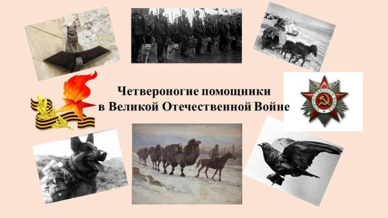 Проект "Зажигаем звезды победы" Беседа "Четвероногие помощники на фронте".